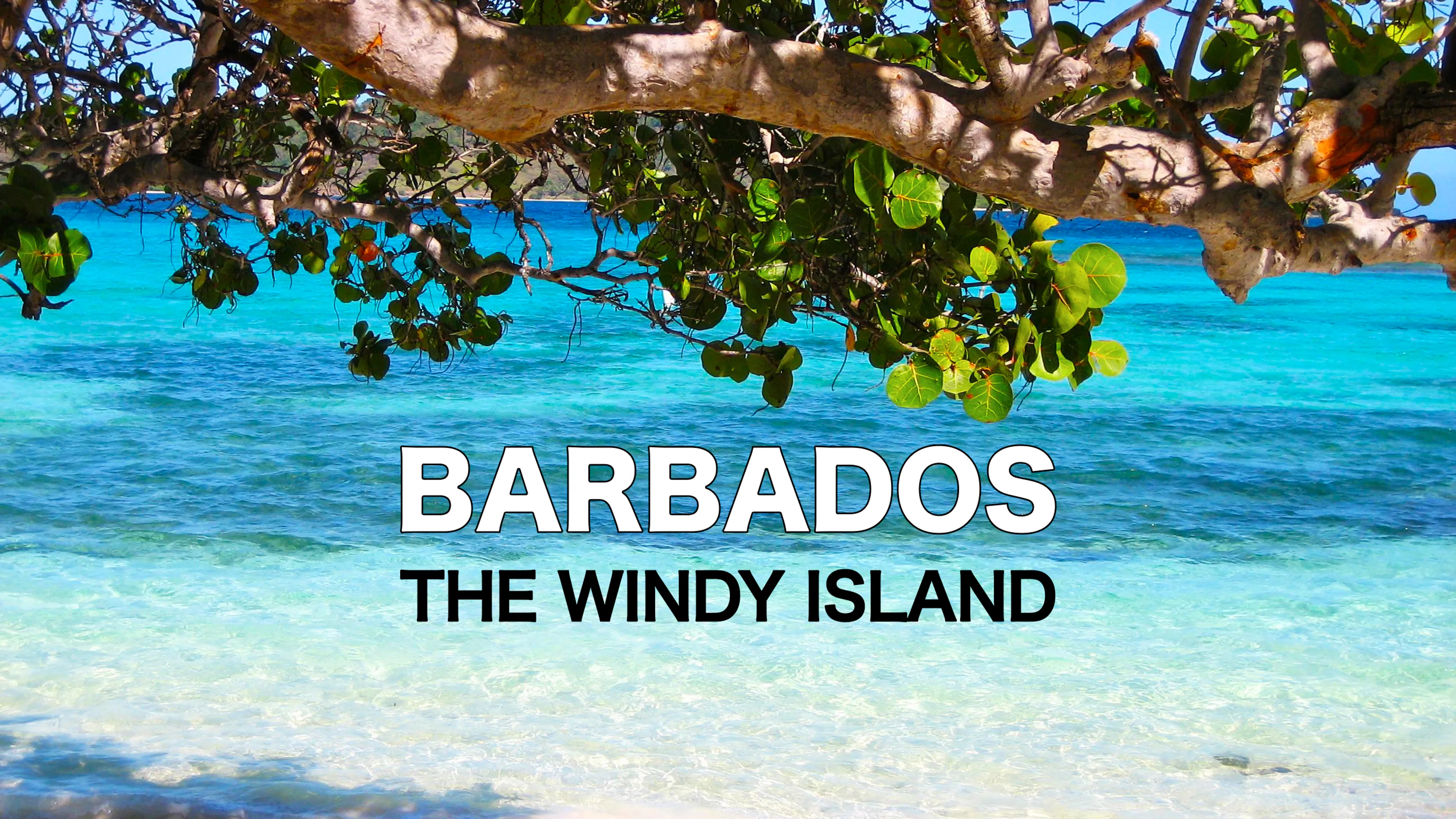 Barbados The Windy Island poster